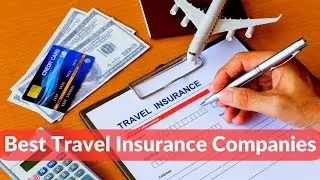 Best Travel Insurance Companies 2023