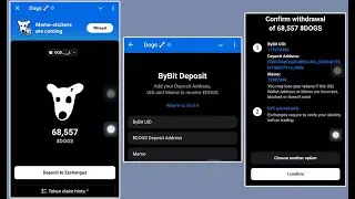 How to Claim Your Dogs Airdrop 🐶 (Complete Steps)