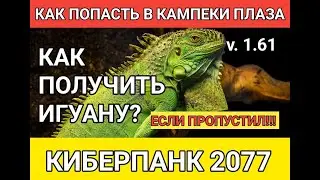КАК ПОЛУЧИТЬ ИГУАНУ, МЕЧ САБУРО И ПОПАСТЬ В КАМПЕКИ ПЛАЗА ЕСЛИ ПРОПУСТИЛИ В НАЧАЛЕ В КИБЕРПАНК 2077