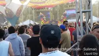 HOMmega Festival 20 Anniversary - Infected Mushroom