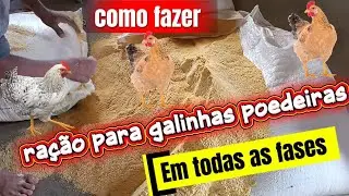 HOW TO MAKE FEED FOR ALL STAGES OF LAYING HENS. UPDATED FORMULA WITH ADDITIVES.