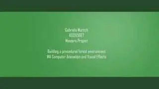 Gabriela Mursch Masters project