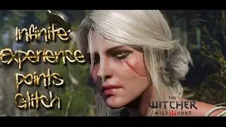 The Witcher 3 3000 Xp Points in 5 minutes