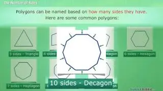 Types of Polygons & The Number of Sides *Math for Kids*