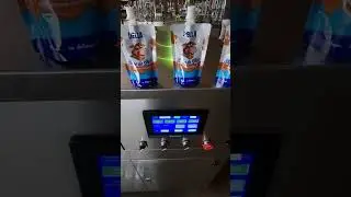 Fully Automatic Spout Pouch Packaging Machine