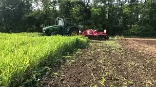 Робота дискової борони Ducat-5 по сидератах | LOZOVA MACHINERY