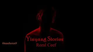 YinYangStories