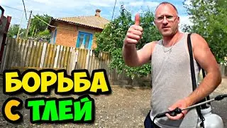 Сюжет из жизни в деревне о том, как я опрыскивал мыльным раствором деревья слив и абрикоса от тли