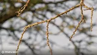 Relaxing With Natural Views | Peaceful Waves/3