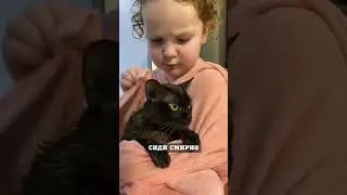 This is love |  #funnyanimalvideos