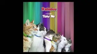 코드 쿤스트 (CODE KUNST), meenoi (미노이) - Take Me (with 11키티즈)