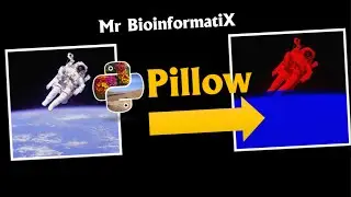 Pillow Library in Python PART2! | Python Tutorial | Python for beginners