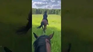 15 мая 2024 г.