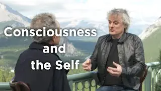 David Chalmers - Consciousness and the Self