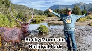 Rocky Mountain: A Hiker's Paradise & Wildlife Wonderland