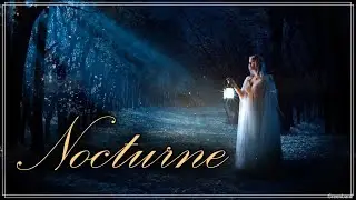 The Secret Forest - Nocturne | Acoustic Guitar