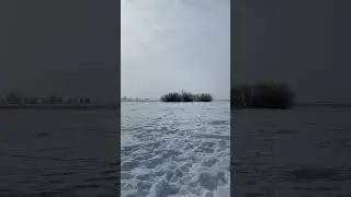 КАК ЖЕ ХОРОШО НА РЫБАЛКЕ #рыбалка2024 #плотва