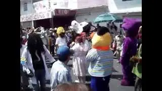 Carnaval San Sebastian Tecoloxtitlan 2014 - La Peinada