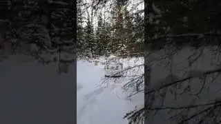 Кормушка для лесных обитателей.