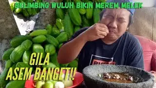 MUKBANG RUJAK BELIMBING WULUH + JERUK NIPIS || BIKIN MEREM MELEK