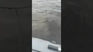 Рыбалка на Псковщине  21🎣🎣🎣