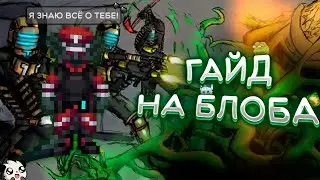 ГАЙД НА БЛОБА SS14