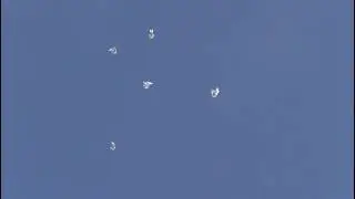 СВГ Голуби,молодёжь белые тренируются к 9 мая