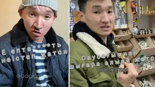 Шәріп вайндары #13