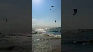 Сестрорецк