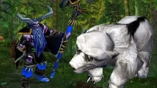 Друид-натуралист против предателя в 30 minuts Warcraft 3