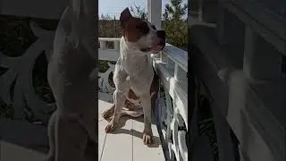 Мои результаты от ритуалов Инги. Видео от Светланы 😊