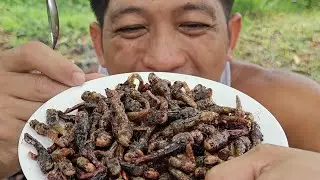 CRISPY ADOBONG TIPAKLONG | PAGKAING BUKID | OUTDOOR COOKING |Team AgustinTV