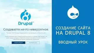 THE WEBSITE ON DRUPAL 8. The launch of the website. The first actions.