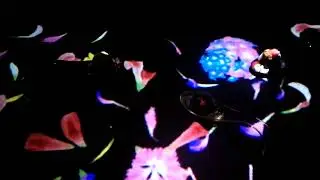 ピノファンタジア（pinofantasia ）（roomヒカリ）