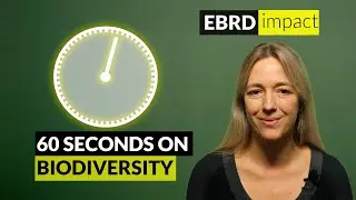 What is biodiversity?