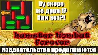 Hamster Kombat forever // тренажёр готов // собираем ключи