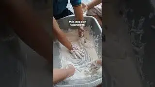 Sensory Play | Bermain Tepung untuk mengenal tekstur & warna #sensorik  #sensoryplay
