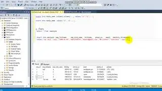 Sql Server : 4. Insert - ຮຽນຄໍາສັ່ງ Insert
