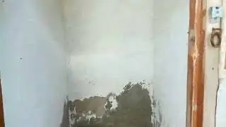 украли унитаз у европейцев
