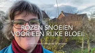 SNOEI IN MAART JE ROZEN VOOR EEN RIJKE BLOEI