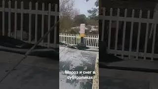 ШКОЛЫ ЗАКРЫТЫ. СНЕГ В АЛАБАМЕ.