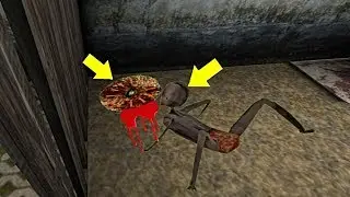 Funny Moments in Granny Chapter 2 V1.0.1|| Feeding Spider Baby