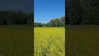 Просторы 