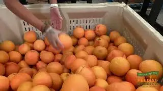 Meet your local food bank: Feeding America Riverside | San Bernardino