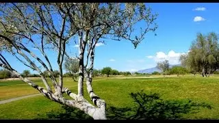 Crooked Tree Golf Course, Tucson (Pima County), Arizona