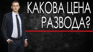 СКОЛЬКО СТОИТ РАЗВОД? // Сколько нужно денег на развод? // Расторжение брака. Стоимость развода