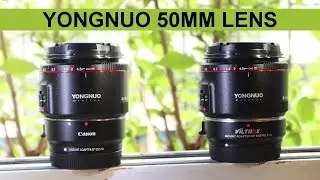 Yongnuo 50mm f/1.8 Mark II lens with Canon M-50 using Canon adaptor and Viltrox speed booster