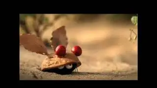 Муха и Паук/ Ржач до слез/ Fly and Spider