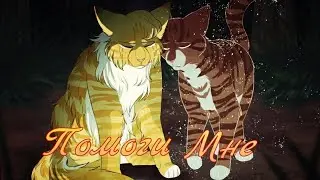 Коты Воители Мотылинка: Помоги мне [Город 312]