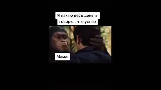 это всё из-за телефона